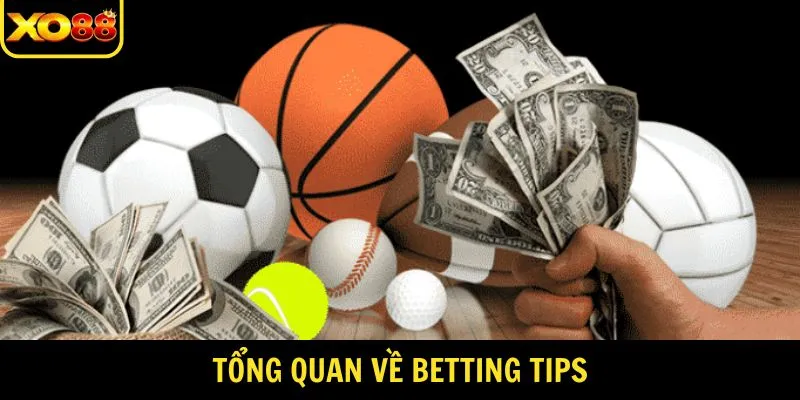 Giới thiệu chung về betting tips