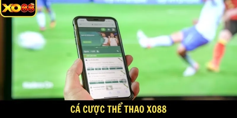 Cá cược thể thao Xo88