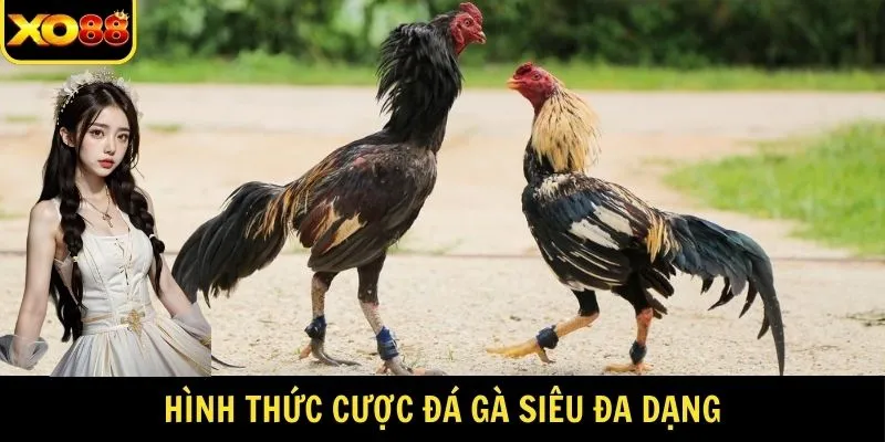 Hình thức cược đá gà siêu đa dạng