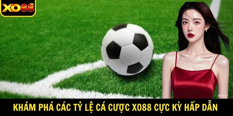 Khám phá các tỷ lệ cá cược XO88 cực kỳ hấp dẫn