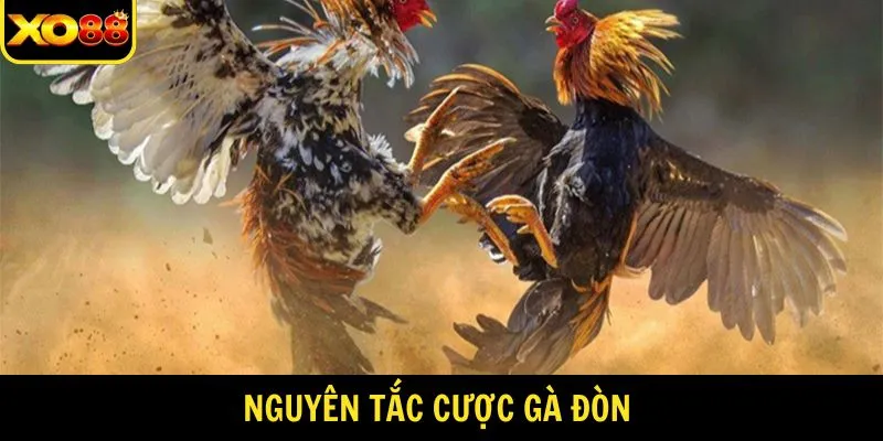 Nguyên tắc đặt cược cần nắm